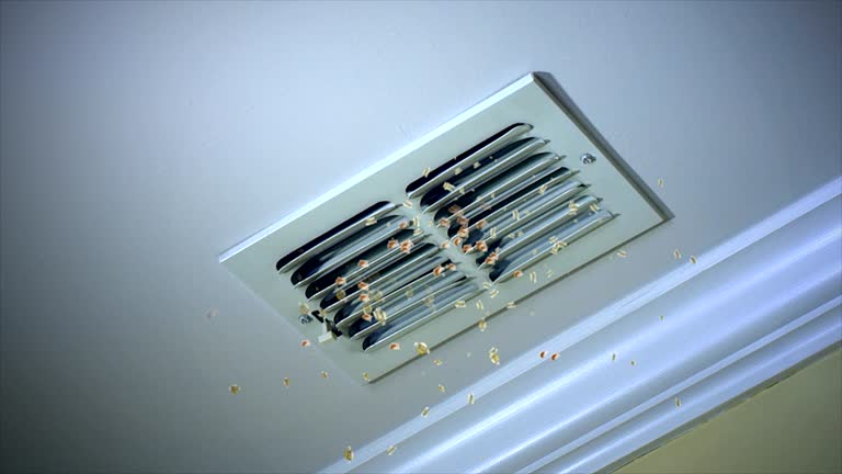  Shady Shores, TX Airduct Cleaning Pros