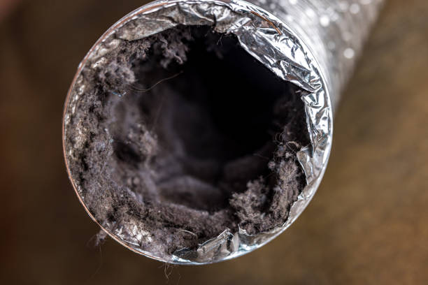 Best General Air Duct Cleaning  in Shady Shores, TX