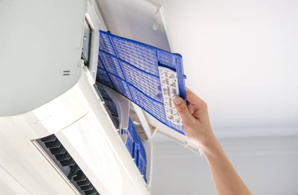 Best Ductwork Cleaning Services  in Shady Shores, TX