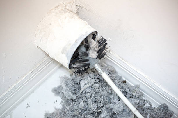Best Air Duct Cleaning Near Me  in Shady Shores, TX